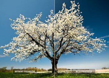 Digital Photography Techniques