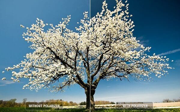 Digital Photography Techniques