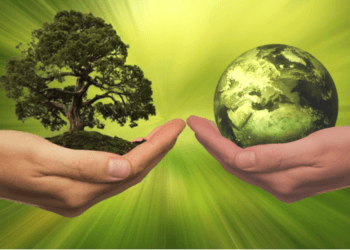 Embracing Sustainability: A Path to Addressing Global Challenges
