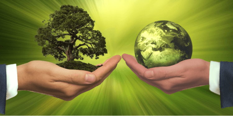 Embracing Sustainability: A Path to Addressing Global Challenges