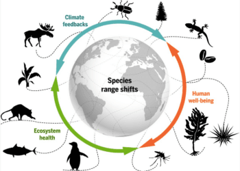 The Interconnected Web Exploring the Impact of Climate Change on Biodiversity
