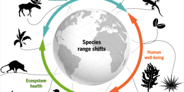 The Interconnected Web Exploring the Impact of Climate Change on Biodiversity