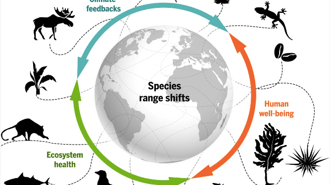 The Interconnected Web Exploring the Impact of Climate Change on Biodiversity