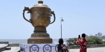 t20 exchange, tiger exchange