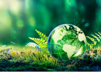 Sustainable Living in India: Simple Steps for a Greener Future 🌱🇮🇳