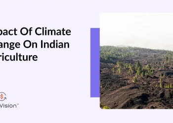 The Impact of Climate Change on Agriculture in India 🌾🌍🇮🇳