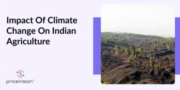The Impact of Climate Change on Agriculture in India 🌾🌍🇮🇳