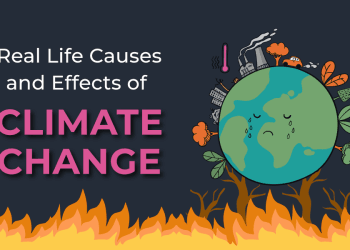 Impact of Climate Change on India: A Wake-Up Call 🌍🔥