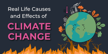 Impact of Climate Change on India: A Wake-Up Call 🌍🔥