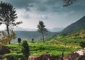 Sustainable Tourism in India: Exploring Eco-Friendly Travel Options 🌿✈️