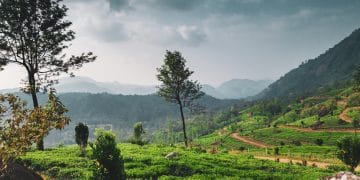 Sustainable Tourism in India: Exploring Eco-Friendly Travel Options 🌿✈️