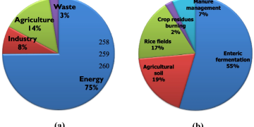 🌾 Climate Change Impact on Indian Agriculture: Challenges and Adaptation