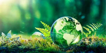 Sustainable Living: Easy Changes for a Greener Lifestyle