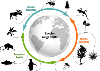 Climate Change and Its Impact on Global Ecosystems