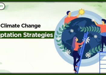 Climate Change and India: Impact, Policies, and Adaptation Strategies in 2025