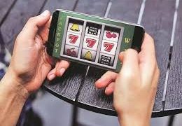 Rockexch: A Comprehensive Overview of India’s Emerging Betting Exchange Platform