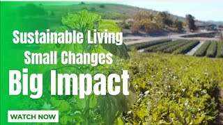 🌱 Sustainable Living: Small Changes, Big Impact