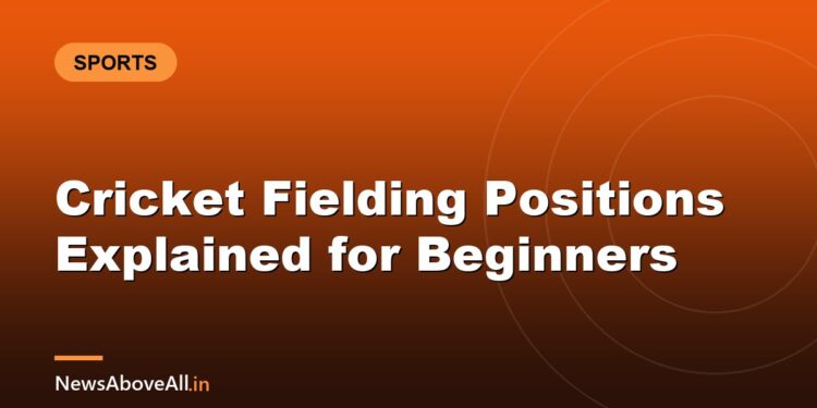 Cricket Fielding Positions Explained for Beginners