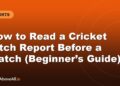 How to Read a Cricket Pitch Report Before a Match (Beginner’s Guide)