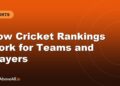 How Cricket Rankings Work for Teams and Players