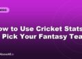 How to Use Cricket Stats to Pick Your Fantasy Team