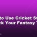 How to Use Cricket Stats to Pick Your Fantasy Team
