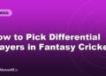 How to Pick Differential Players in Fantasy Cricket