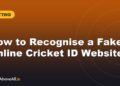 How to Recognise a Fake Online Cricket ID Website