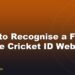 How to Recognise a Fake Online Cricket ID Website