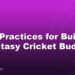 Best Practices for Building a Fantasy Cricket Budget