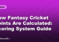 How Fantasy Cricket Points Are Calculated: Scoring System Guide