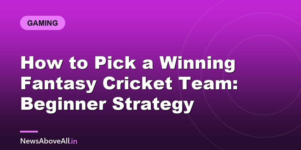 How to Pick a Winning Fantasy Cricket Team: Beginner Strategy