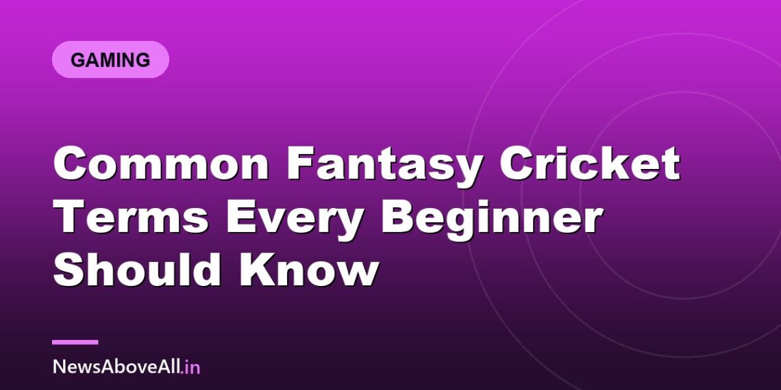 Common Fantasy Cricket Terms Every Beginner Should Know