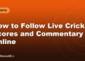 How to Follow Live Cricket Scores and Commentary Online