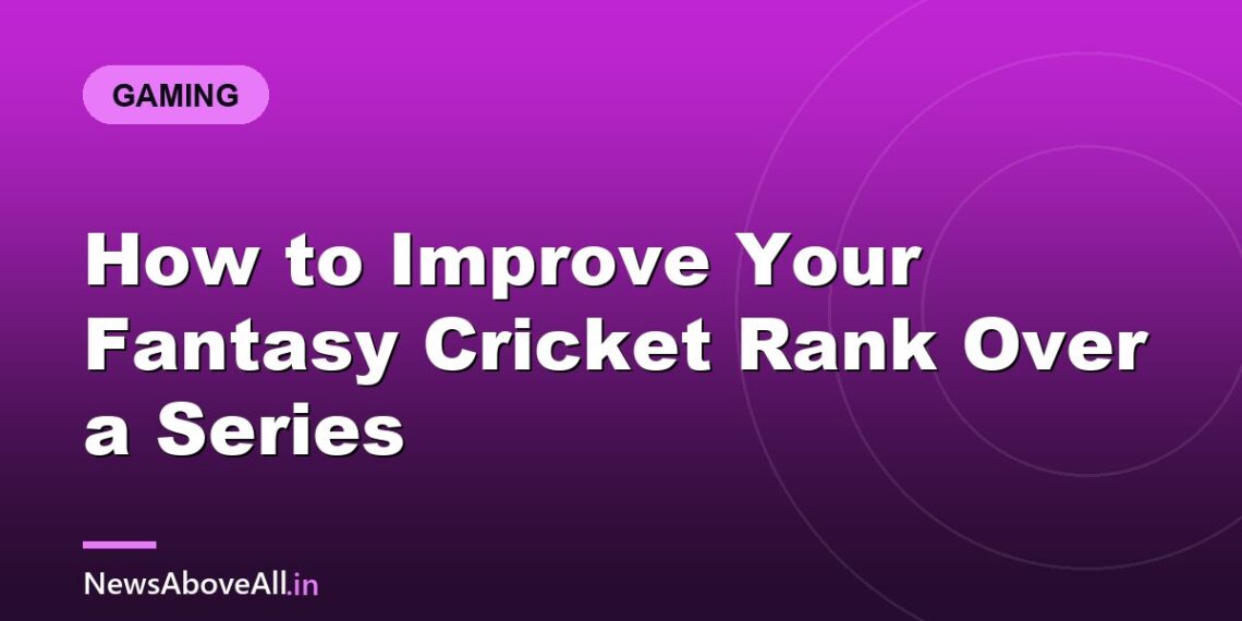 How to Improve Your Fantasy Cricket Rank Over a Series