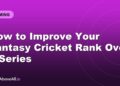 How to Improve Your Fantasy Cricket Rank Over a Series