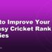 How to Improve Your Fantasy Cricket Rank Over a Series