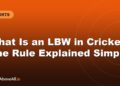 What Is an LBW in Cricket? The Rule Explained Simply