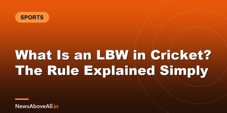 What Is an LBW in Cricket? The Rule Explained Simply