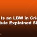 What Is an LBW in Cricket? The Rule Explained Simply