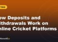 How Deposits and Withdrawals Work on Online Cricket Platforms