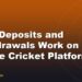How Deposits and Withdrawals Work on Online Cricket Platforms