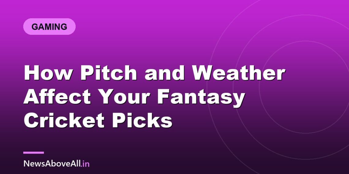 How Pitch and Weather Affect Your Fantasy Cricket Picks
