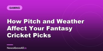 How Pitch and Weather Affect Your Fantasy Cricket Picks