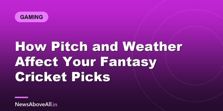 How Pitch and Weather Affect Your Fantasy Cricket Picks