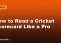How to Read a Cricket Scorecard Like a Pro