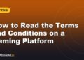 How to Read the Terms and Conditions on a Gaming Platform