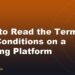 How to Read the Terms and Conditions on a Gaming Platform