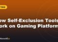 How Self-Exclusion Tools Work on Gaming Platforms