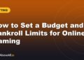 How to Set a Budget and Bankroll Limits for Online Gaming